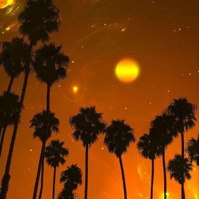 开元ky7818老版本手机app下载