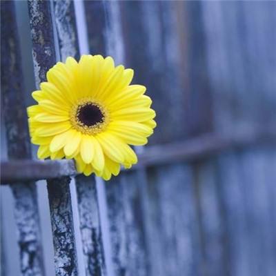 星空app官方下载最新版本截图