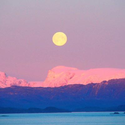 乐鱼综合APP下载截图