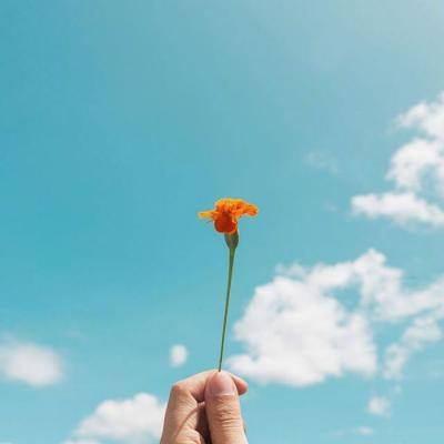 半岛·综合体育官网入口