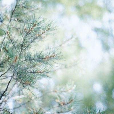 竞赛足球app下载