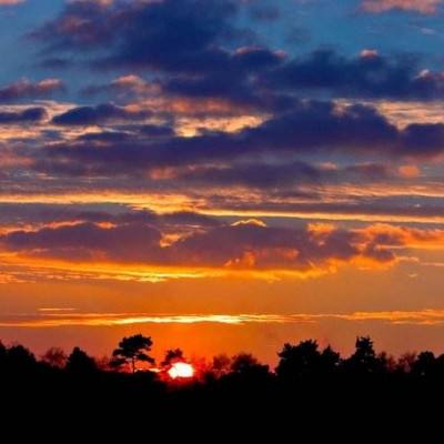 BET9官方APP下载正版手机app下载